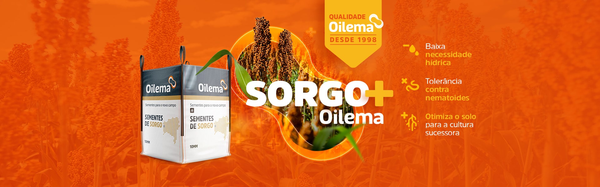 oilema sorgo 1920x600-min