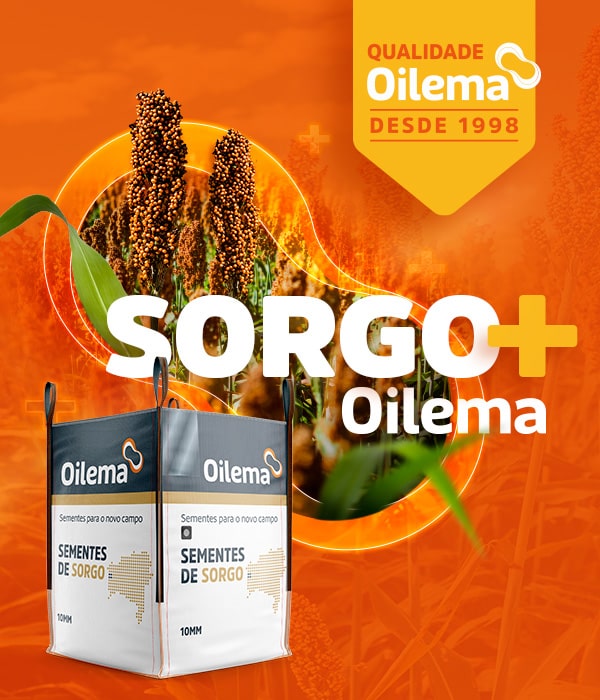 oilema sorgo 600x700-min